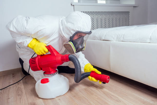 Best Affordable Pest Control Services  in Mariposa, CA