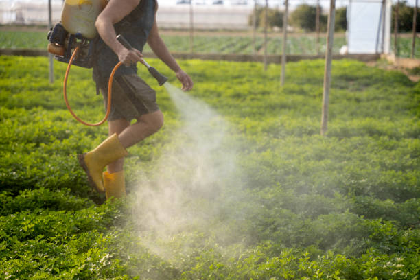 Best Emergency Pest Control  in Mariposa, CA