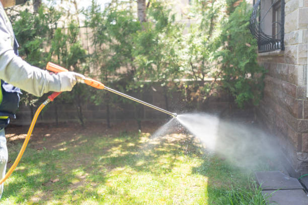 Best Affordable Pest Control Services  in Mariposa, CA