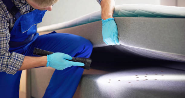 Best Mosquito Control Services  in Mariposa, CA