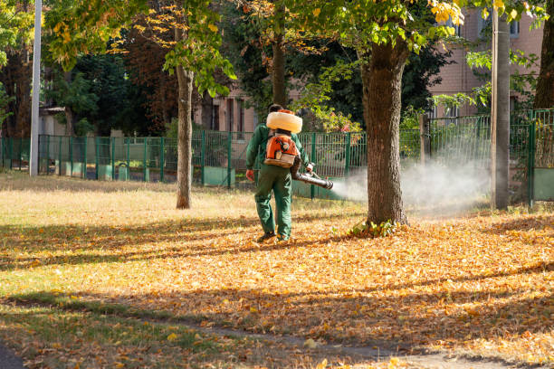 Best Pest Prevention Services  in Mariposa, CA