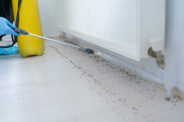Best Residential Pest Control  in Mariposa, CA